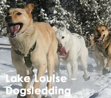 Lake Louise Dogsledding