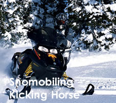 Snomobiling Kicking Horse