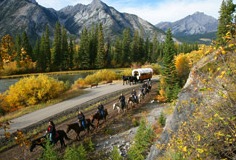 Horseback Rides Banff
