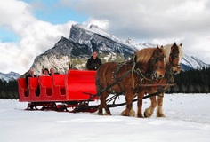 Sleigh Rides in Banff 