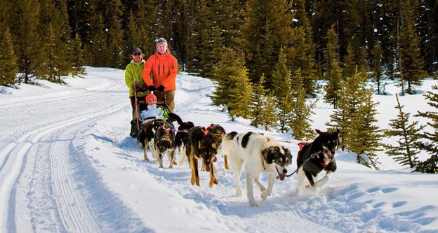 Dogsledding – Lake Louise | Banff Info